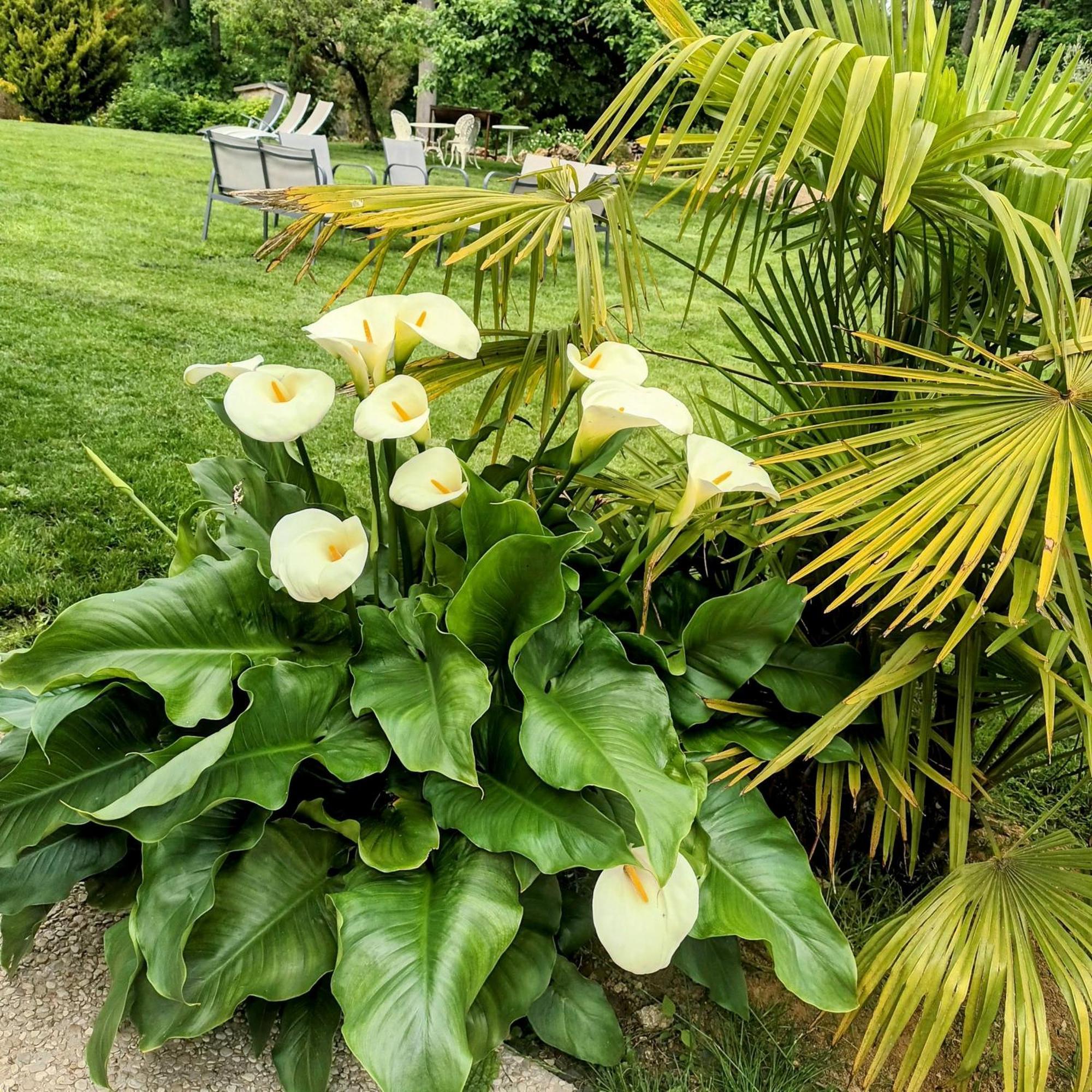 Bed and Breakfast Domaine La Garence Villers-sous-Chatillon Экстерьер фото